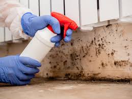 Best Mold Remediation for Healthcare Facilities  in Candler Mcafee, GA